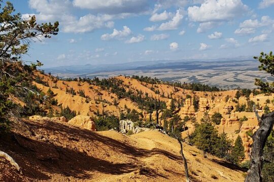 Ruby's Horseback Adventures Utah Thunder Mt. 4 Hour Ride