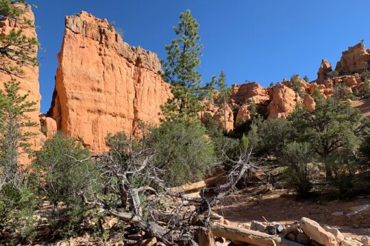 Ruby's Horseback Adventures Utah Half Day Ride