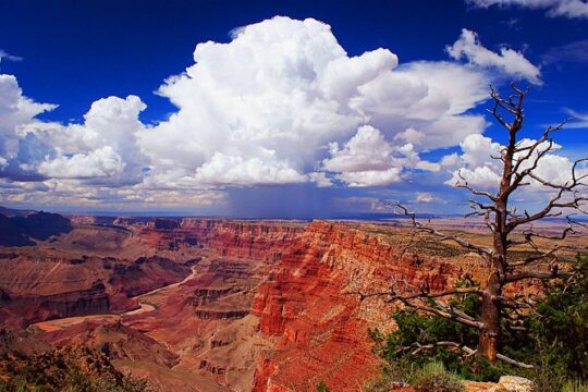 3 Hour Off-Road Sunset Safari to Grand Canyon with Entrance Gate Detour