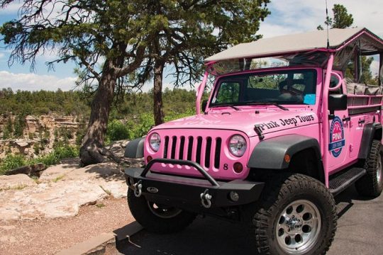 Desert View Grand Canyon Tour - Pink Jeep