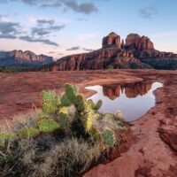 Private & Custom Tours