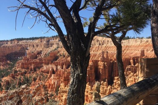 Bryce Canyon E-bike Tour