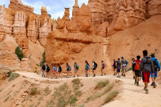 Full Day Small Group Tour in Bryce Canyon National Park