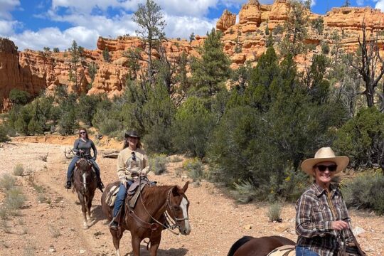 Ruby's Horseback Adventures All Day Ride