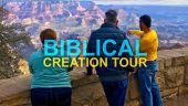 Outstanding Tour: Expert Insight and Breathtaking Views
