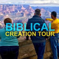 Walking Tours