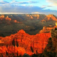 Bus & Minivan Tours
