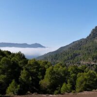 Eco Tours